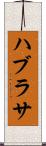 ハブラサ Scroll