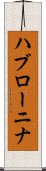 ハブローニナ Scroll