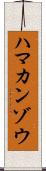 ハマカンゾウ Scroll