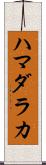 ハマダラカ Scroll