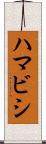 ハマビシ Scroll