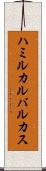 ハミルカルバルカス Scroll