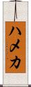 ハメカ Scroll