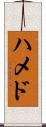 ハメド Scroll