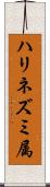 ハリネズミ属 Scroll