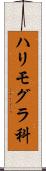 ハリモグラ科 Scroll
