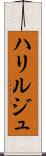 ハリルジュ Scroll