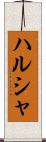 ハルシャ Scroll