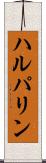 ハルパリン Scroll
