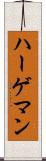 ハーゲマン Scroll