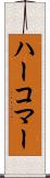 ハーコマー Scroll