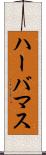 ハーバマス Scroll