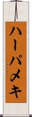 ハーパメキ Scroll