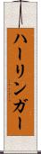 ハーリンガー Scroll