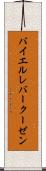 バイエル・レバークーゼン Scroll