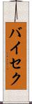 バイセク Scroll