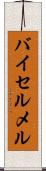 バイセルメル Scroll