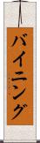 バイニング Scroll