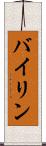 バイリン Scroll