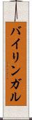 バイリンガル Scroll