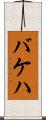 バケハ Scroll