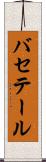 バセテール Scroll
