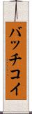 バッチコイ Scroll