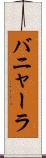 バニャーラ Scroll