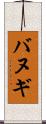 バヌギ Scroll
