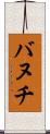 バヌチ Scroll