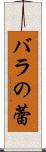 バラの蕾 Scroll