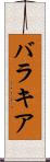 バラキア Scroll