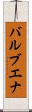 バルブエナ Scroll