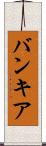 バンキア Scroll