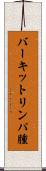 バーキットリンパ腫 Scroll