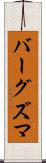 バーグズマ Scroll
