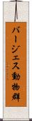 バージェス動物群 Scroll