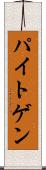 パイトゲン Scroll