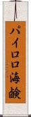 パイロロ海鹸 Scroll