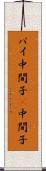 パイ中間子 Scroll