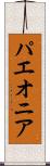 パエオニア Scroll