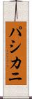 パシカニ Scroll