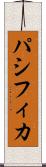 パシフィカ Scroll
