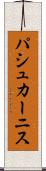 パシュカーニス Scroll