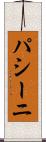 パシーニ Scroll