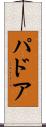 パドア Scroll