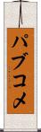 パブコメ Scroll