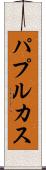 パプルカス Scroll
