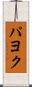 パヨク Scroll
