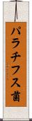 パラチフス菌 Scroll